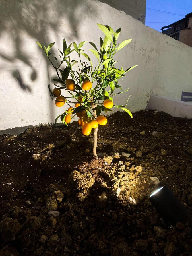 Promo Price September - Home By The Sea 1 Min From The Beach Golem  Esterno foto